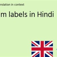 Labelled Diagram Meaning In Hindi
